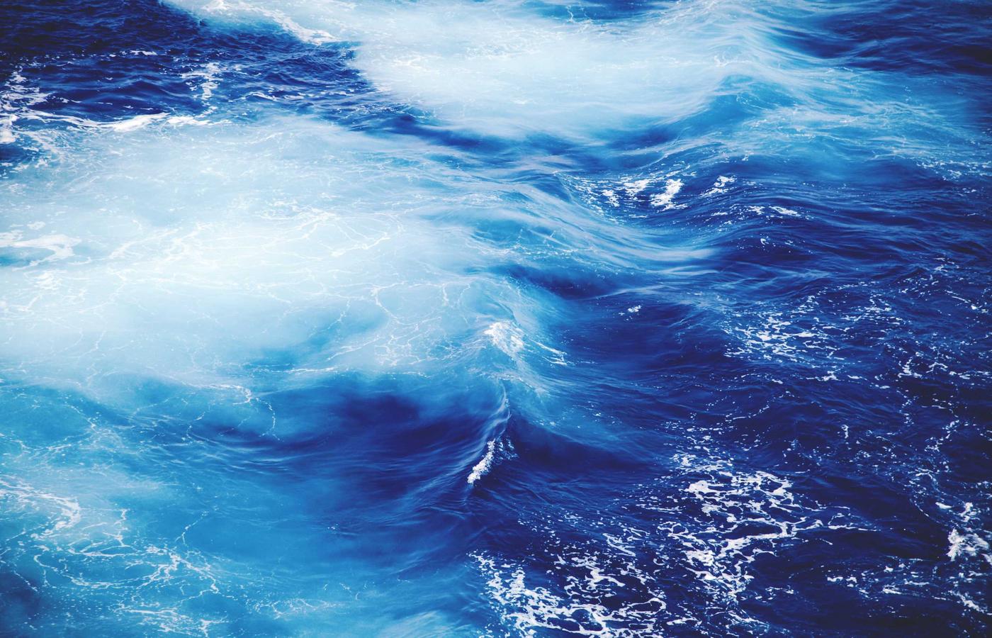 Portrait of Dr. Elena Petrova