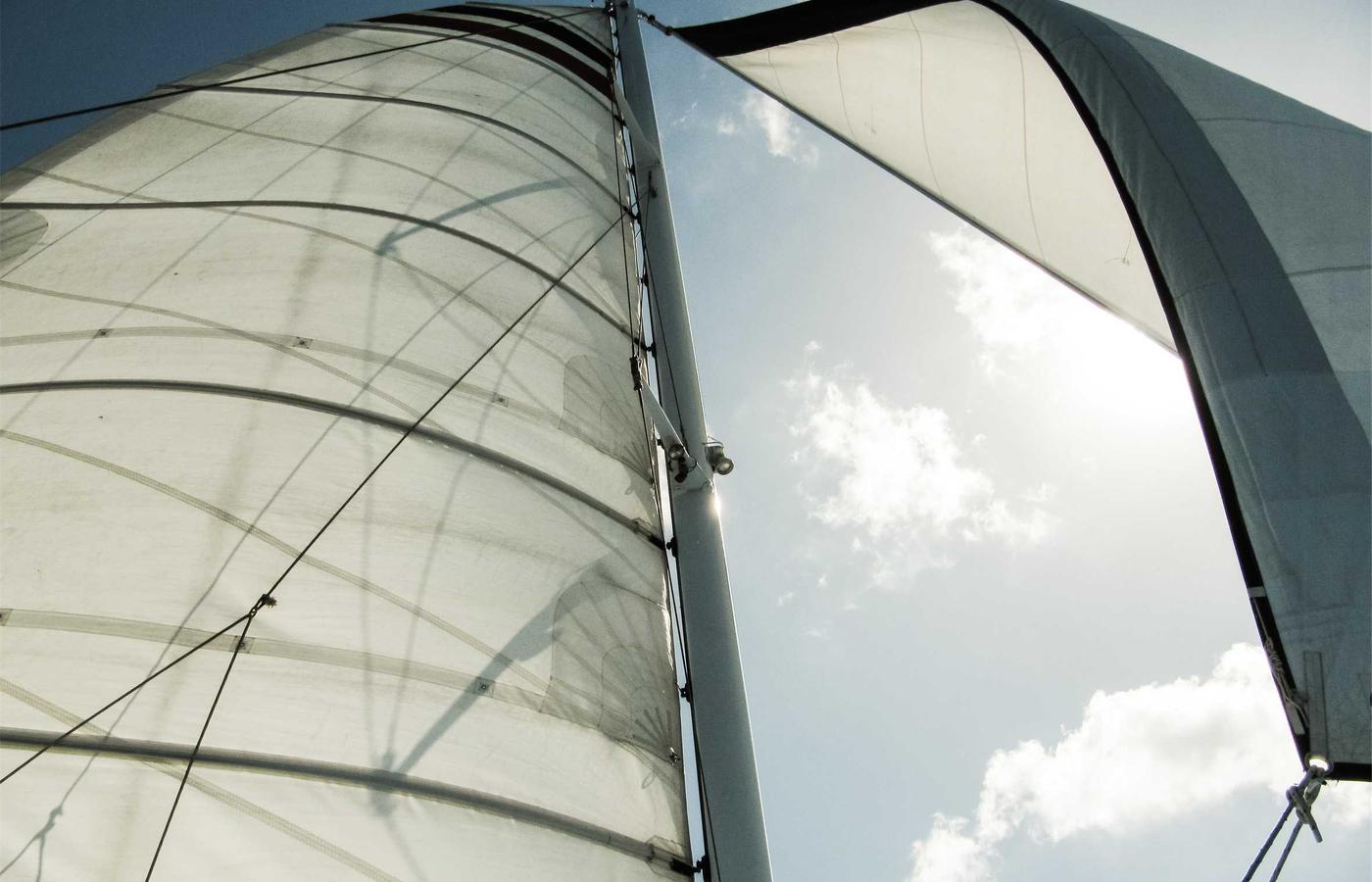 Portrait of Dr. Robert Vance